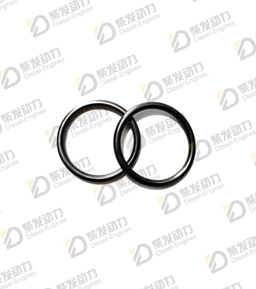 O-ring 20939274 